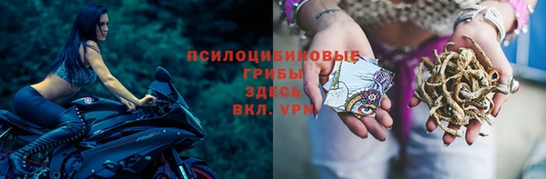 PSILOCYBIN Алексеевка