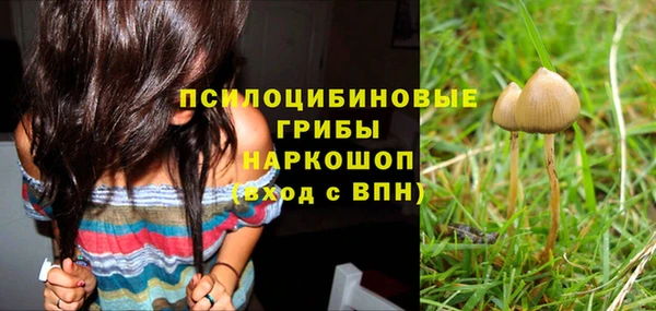 прущие грибы Баксан