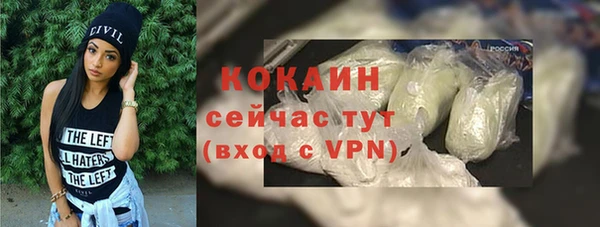 apvp Алексин